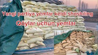 978140011 YANGİ PARTIYA QÕYLAR UCHUN YEMLAR KELDI ULGURIB QOLING