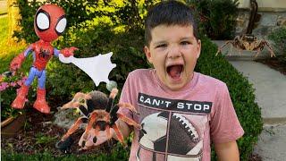 CALEB and MOMMY LOOK for SPIDERS & OPEN NEW SPIDEY & FRIENDS TOYS from HASBRO! BACKYARD BUG HUNT