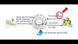 SEO tổng thể là gì – Dịch vụ SEO website tổng thể #1 Hà Nội