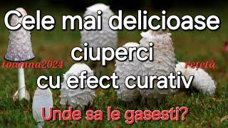 Delicatesa toamnei - Ciuperca cu peruca / Cum arata /Unde se găsește?