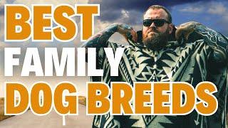 The BEST Family Dog Breeds!