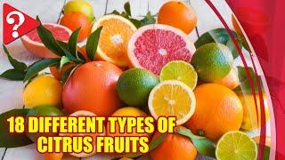 18 Different Types of Citrus Fruits