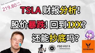 Tesla 财报分析! 股价暴跌! 要回到1XX吗? 基本面/估值分析! 还能抄底吗?【美股分析】