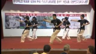 Nam Wah Pai 51st Anniversary 2015 -  NUS NWP Team