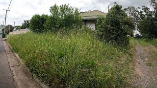 NEGLECTED HOUSE now LOOKS INCREDIBLE! - Yard clean up