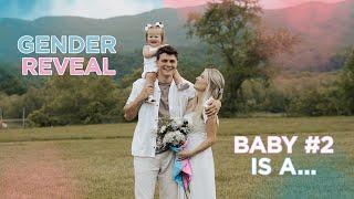 OFFICIAL GENDER REVEAL!! BABY CLARK IS A…
