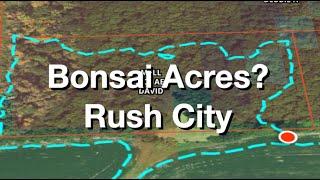 Bonsai Acres Rush City?  Dave's Bonsai E415