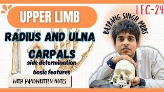 Radius and ulna bone 3d anatomy l side determination of radius and ulna l carpal bones mbbs anatomy