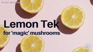 Lemon Tek 'Magic' Mushrooms 