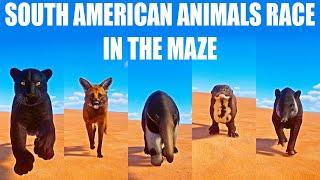 South American Animals Speed Race in the Maze in Planet Zoo included Otter, Jaguar, Wolf, Tapir