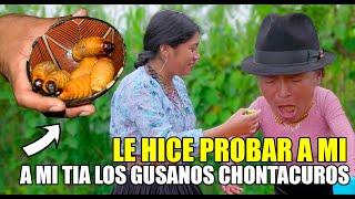 Hice comer chontacuro a mi Tía chulla huev y así reaccionó