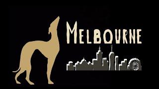 SHADOW THEATRE Verba in Australia | opening The Nationals 2023 Greyhound racing ‍️ in Melbourne