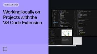 Working locally on Projects with the VS Code Extension