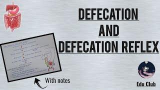 Defecation and Defecation Reflex || Gastrointestinal Physiology