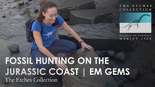 FOSSIL HUNTING on the Jurassic Coast | Em Gems