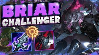 How To Play Briar Jungle With Item Nerfs | Indepth Guide Learn