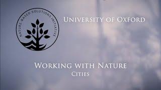 Working with Nature: Cities