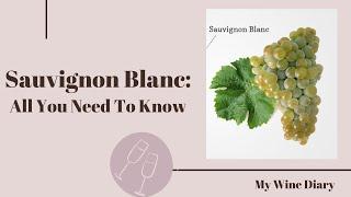 Sauvignon Blanc: All You Need to Know