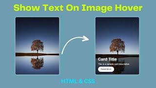 How To Overlay Text On An Image in CSS | CSS Image Hover Effects