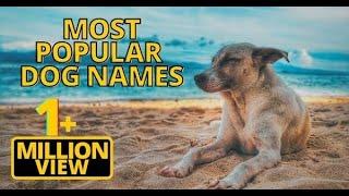 Top 20 Most Popular Dog Names 2018 !! Unique Puppy Names