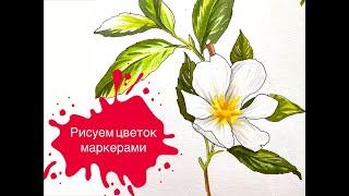 Рисуем Цветок Маркерами за 26 Минут!