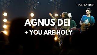 Agnus Dei / Holy (Isaiah 6) | William Hinn & UPPERROOM | Worship Moments