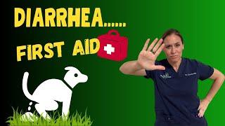 Natural First Aid Support For Pet Gut Health Issues - Holistic Vet Advice