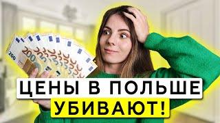 Сколько стоит месяц жизни в Польше в 2024? ВСЕ цены и траты