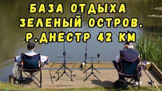 База отдыха. Зеленый остров. Р. Днестр 42 км. #fishing #рыбалка #carpfishing #днестр