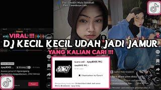 DJ KECIL KECIL UDAH JADI JAMUR JANDA JANDA DI BAWAH UMUR VIRAL TIKTOK 2023