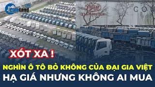 Nghìn ô tô của đại gia Việt PHƠI MƯA NẮNG ở Thanh Hóa: HẠ GIÁ nhưng KHÔNG AI MUA | CafeLand