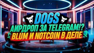 DOGS АИРДРОП ОТ TELEGRAM В 100$ | МЕМ КОТОРЫЙ МОЖЕТ ПОЛУЧИТЬ КАЖДЫЙ | ОБЗОР