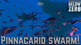 Subnautica Below Zero: Summoning a Swam of Pinnacarid!