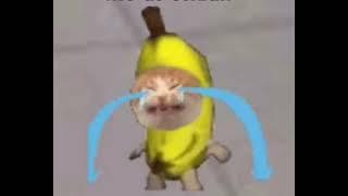 Banana Cat Crying Meme Template | sound effect