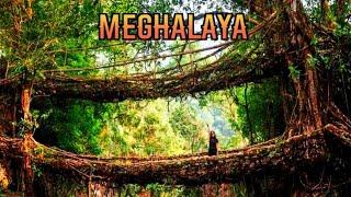 Best places to visit in Meghalaya / What is the most popular in Meghalaya? #tourist #youtubeshorts