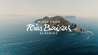 Exploring D.O. Rías Baixas: History, Culture, Gastronomy and Tradition