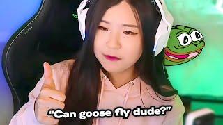 The smartest Korean streamer on Twitch