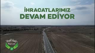 Yeşil Vadi Tarım olarak ihracatlarımız tüm hızıyla devam ediyor…