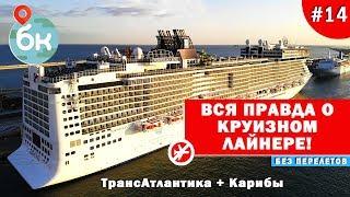 #14 Вся правда о круизном лайнере! ТрансАтлантика + Карибы | Кругосветка без перелётов Большой  Круг