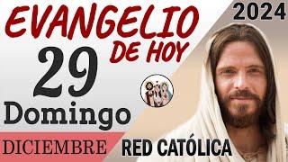 Evangelio de Hoy Domingo 29 de Diciembre de 2024 | REFLEXIÓN | Red Catolica