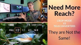 Canon R5 Crop Mode vs Teleconverters by a Bird Photographer