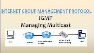 "Understanding the IGMP Protocol and Packet: Comprehensive Guide"
