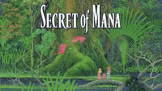 Let's talk about Secret of Mana 3D Remake for the PS4 and PS Vita and why I don't like it!