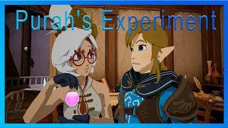 Purah's Experiment! (Zelda fan animation)