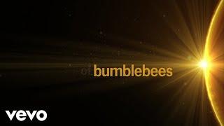 ABBA - Bumblebee (Lyric Video)