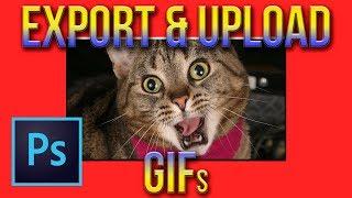 How to create, export, and upload a GIF tutorial | Photoshop CC 2017