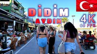 Beautiful Day in Didim Aydin Turkiye 4K UHD