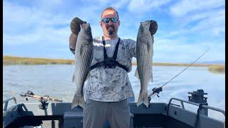 Striper Limit in 1 hour on Napa River