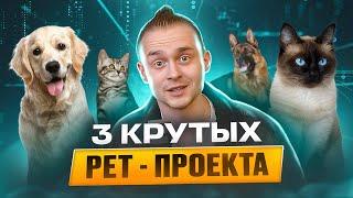 3 крутых pet-проекта / Что интересно собеседующим