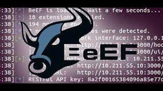 How to Install Beef-xss in Kali Linux | Browser Hacking using BeEF Tool | BeEF Password change